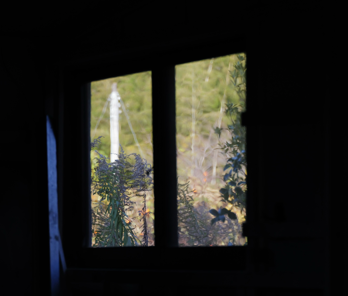 数字に現れない心地よさ